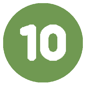 10 icon