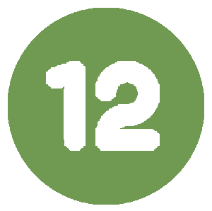 12 icon