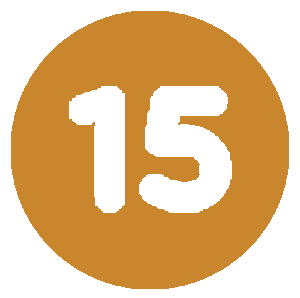 15 icon