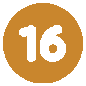 16 icon