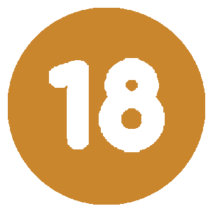 18 icon