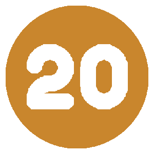 20 icon