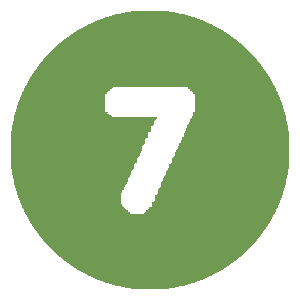 7 icon