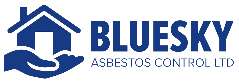 Blue Sky main Logo