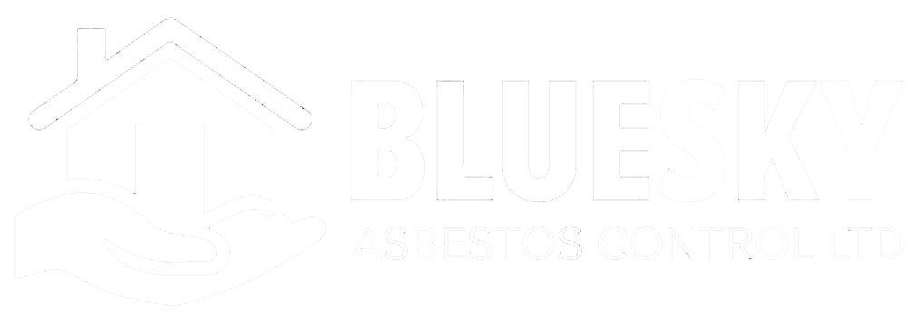 Blue Sky main Logo