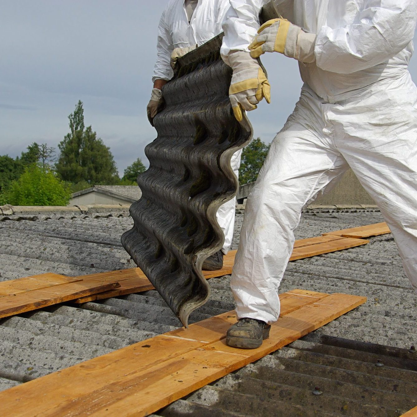 Asbestos removal